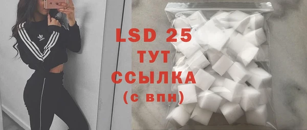 PSILOCYBIN Алзамай