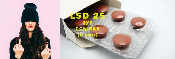 PSILOCYBIN Алзамай