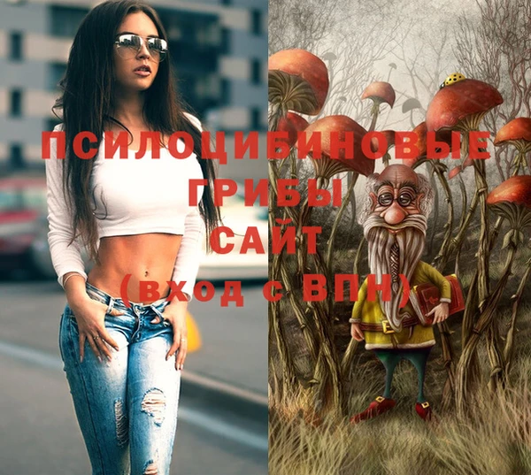 стафф Алексеевка