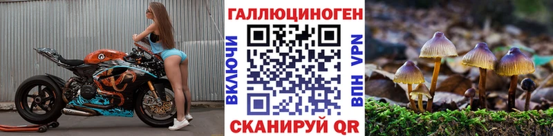 как найти Ликино-Дулёво KRAKEN tor Псилоцибиновые грибы GOLDEN TEACHER
